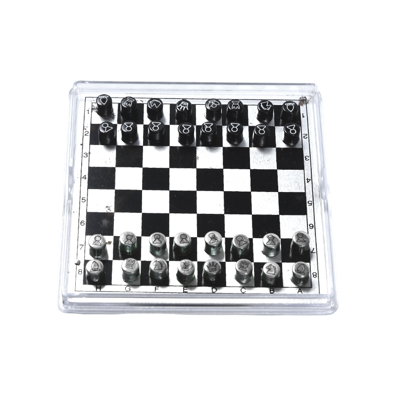 Set de șah internațional din metal magnetic în carcasă din acril transparent